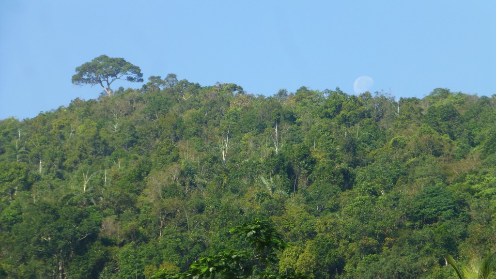 P1020808